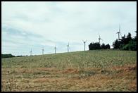 Windmills.