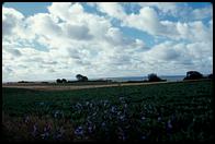 Big sky, Sjællands Odde.