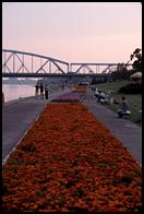 Flower beds along the Wisla.