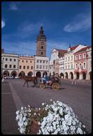 Flowers and horse carriage.