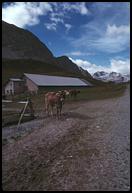 Company on Albulapass.