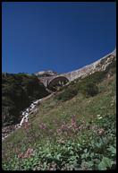 Bridge and wildflowers, Sustenpass.