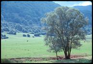 Bucolic scenery near Opi.