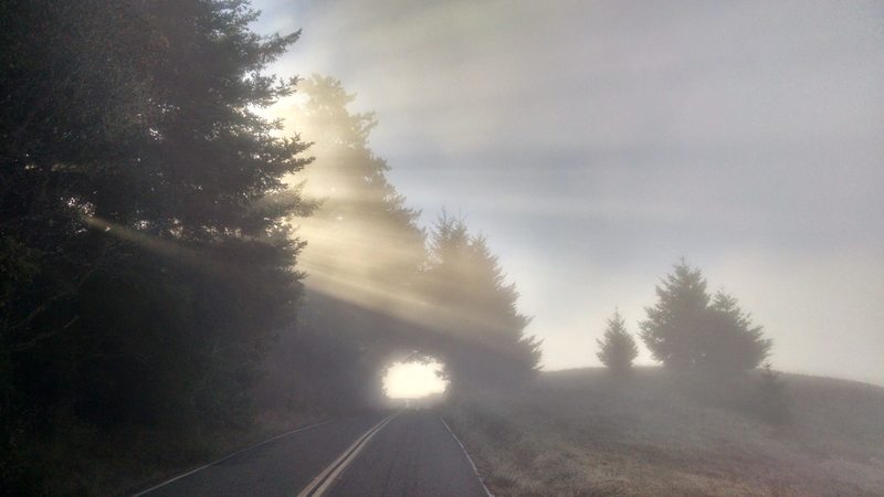 Bolinas Ridge